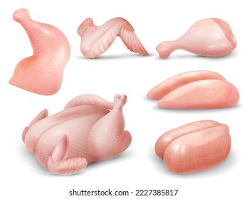 Carne de pollo cruda realista con pechos de canal ala pierna cuarto de vector aislado ilustración vectorial