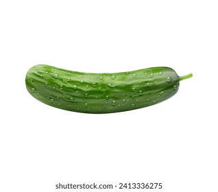 Realistic raw cucumber vegetable whole veggie with water drops. Isolated 3d vector crisp and refreshing veg, bursts with hydration. Its green skin encases a crunchy texture and mild flavor