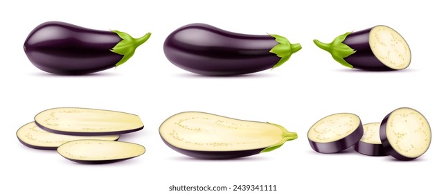 Realistic raw isolated eggplant. Whole, half, slice and ring vegetable. Vector 3d veggie food, fresh ripe eggplant, aubergine or brinjal vegetable with green stems, purple veggie slices with seeds