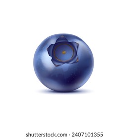 Realistic raw isolated ripe blueberry berry. 3d vector plump bilberry, glistening in sunlight, showcases its deep indigo hue and promises a burst of sweet, juicy flavor upon every delightful bite