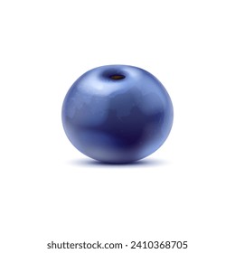 Realistic raw isolated ripe blueberry. 3d vector plump, deep blue fruit with a matte sheen, showcasing its natural texture and vibrant color. Healthy sweet food perfect for culinary or design projects