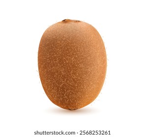 Realistic raw isolated ripe kiwi fruit. 3d vector natural, healthy vitamin tropical food, whole kiwi fruit with detailed brown fuzzy skin texture and hairy surface. Fresh exotic nutritional ingredient