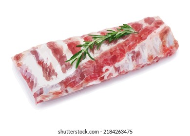 Realistic raw ribs meat isolated on white background. Vector illustration made in a realistic style