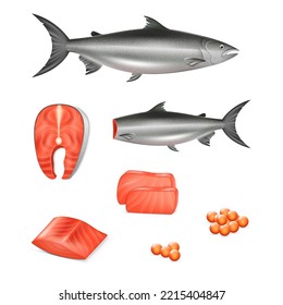 Realistic raw salmon fish set. Whole fish, peeled fillet, steak and caviar for restaurant menu. Marine meal. Seafood meal. 3d vector illustration