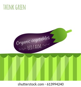 Realistic raw vegetables. Isolated icon of ripe eggplant with text Think green. Vector illustration