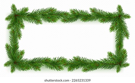 Realistic rectangular pine tree frame in vector. Isolated fir border on transparent background for Christmas holiday festive postcard. Minimalist evergreen decorative seasonal illustration.