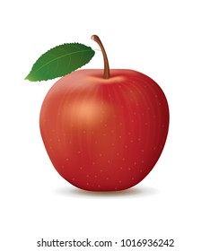 Realistic red apple on white background, vector