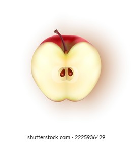 Realistic red apple on white background, Ripe apple in vector format