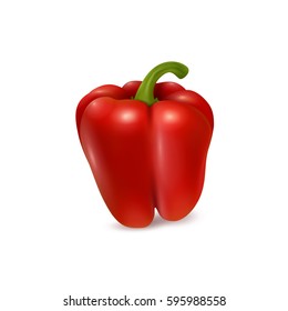 Realistic red bell pepper on white background. Vector illustration