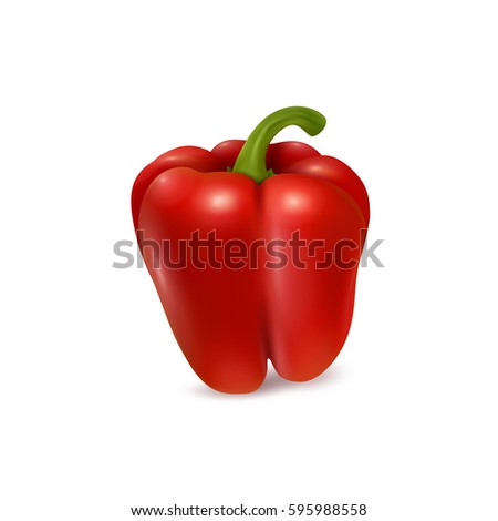 Realistic red bell pepper on white background. Vector illustration