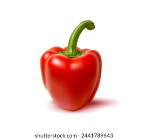 Realistic red bell pepper, raw whole vegetable or veggie and farm food, isolated vector. Fresh ripe red bell pepper in closeup for organic vegetarian food and cuisine cooking as realistic object 3D