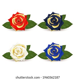 Realistic of red, black, blue, white roses golden petals and green leaves isolated on white background. For decoration decorate artwork Valentine day or Wedding Invitation card. 3D Vector SPS10.