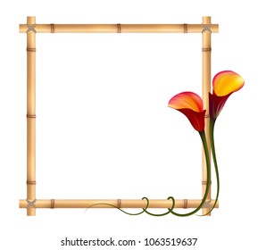 Realistic red calla lily, bamboo frame. The symbol of Attraction and Passion.