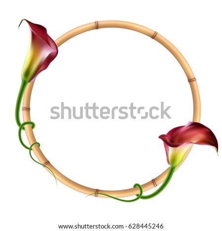 Realistic red calla lily, bamboo frame.