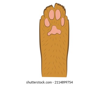 Realistic red cat paw pet cute. Hand drawing. Vector illustration .