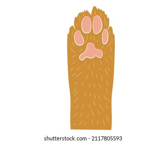 Realistic red cat paw pet cute. Hand drawing. Vector illustration .