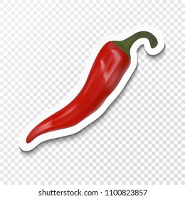 Realistic red chilli pepper icon isolated on transparent background. Vector eps10.