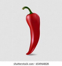 Realistic red chilli pepper icon isolated on transparent background. Design template of food closeup in vector.