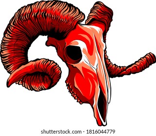Realistic red goat skull. vector Illustration for designer on a white background.