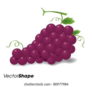 Realistic red grapes vector illustration