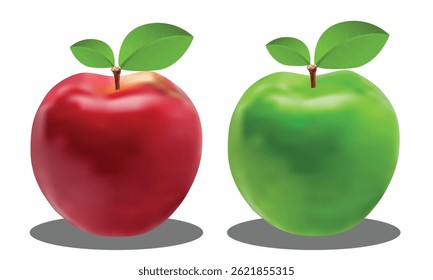 Realistic red and green apples with leaves, fresh fruit vector illustration, healthy food and nutrition design for print and digital use.
