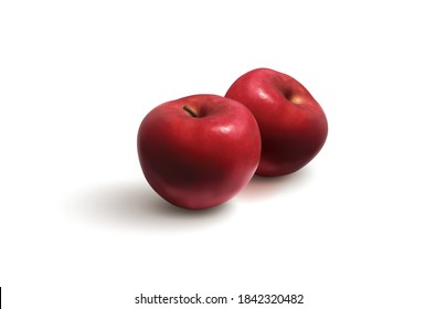 Ilustración vectorial de Apple de Cachemira Roja realista aislada de fondo blanco