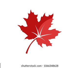 Realistic Red Maple Leaf