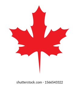 Realistic Red Maple Leaf Isolated Stock Vector