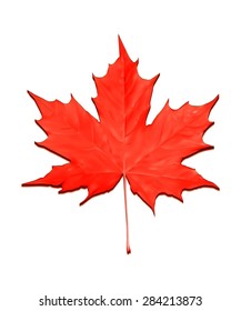 Realistic red maple leaf isolated on white background. Vector eps10 illustration