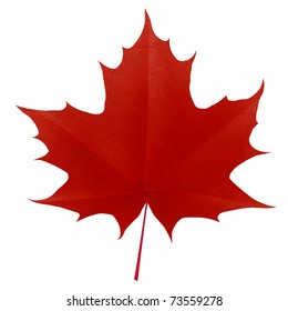 Realistic red maple leaf isolated on white background. Vector eps10 illustration
