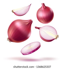 Realistic red onion whole bulb, slices mix. Fresh natural food for product package, menu design. Vector ripe sliced onion for healthy cooking. Natural and vegetarian dieting.