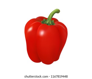 Realistic red paprika fruit with vector illustration. Design for culinary products, seasoning packages, recipe websites, cooking books etc