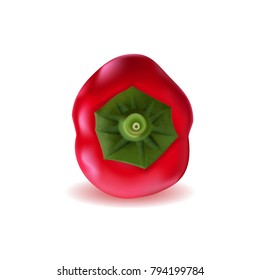 Realistic Red Pepper with Green Stem and Calyx on White Background, Isolated Vegetable, Hand Drawn 3D Vector Illustration EPS10
