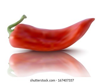 pimienta roja realista - ilustración vectorial