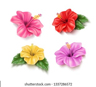 Realistic red, pink yellow hibiscus flowers set. Tropical plants for pool party, summer holiday design. Exotic blossom with green leaves. Seaside beach vacation, aloha hawaii natural vector decoration