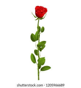 Realistic red rose with leaves isolated on white background for decorate artwork for Valentine or Wedding Invitation card. EPS 10 vector file