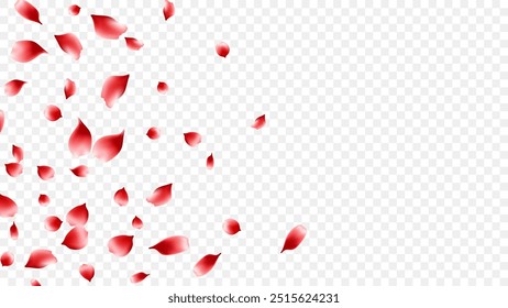 Pétalos de rosa rojos realistas que flotan en el fondo transparente. Romance, flor de amor. Día de San Valentín