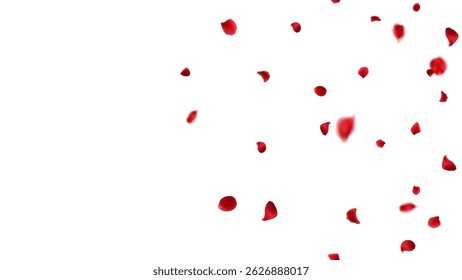 Realistic red rose petals flying isolated vector, love season decoration. rosy