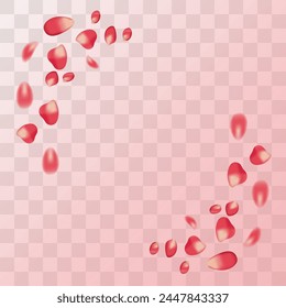 realistic red rose petals on transparent background, frame, for postcard, march 8, birthday, mother's day 