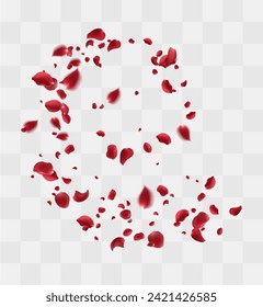 Realistic red rose petals with transparent background. Vector illustration