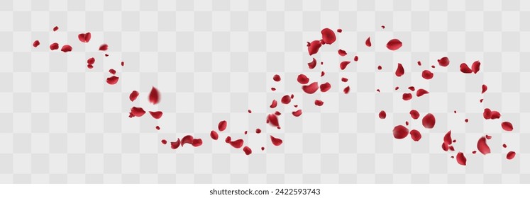 Realistic red rose petals with transparent background. Vector illustration