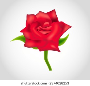 Rosa roja realista, ilustración vectorial sobre fondo blanco, diseño de flor roja floral 3d, ramo de boda y tarjeta de saludo valentina