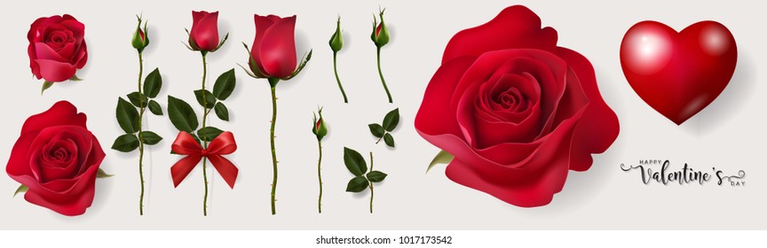 Realistic red roses, 8 styles and leaves. Eps.10