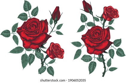 Realistic red Roses - Vintage vector roses isolated