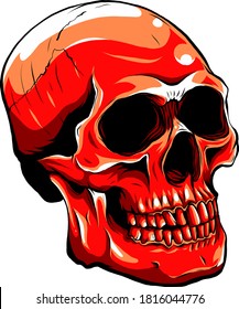 Realistic red skull. vector Illustration for designer on a white background.