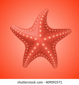 Realistic red starfish, vector Illustration.

