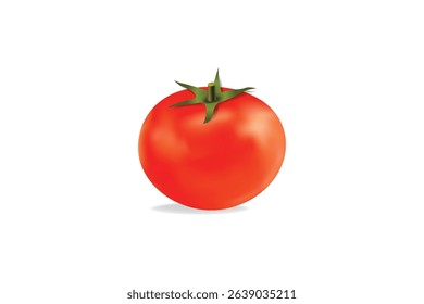 Realistic red tomato isolated on white background