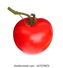 Realistic red Tomato. Vector illustration. Isolated on white background