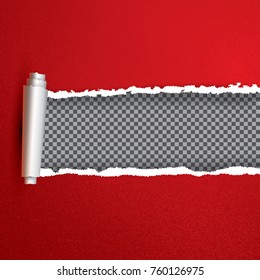 Realistic Red Torn Open Paper with Copy Space. Vector Illustration. Rip edges.