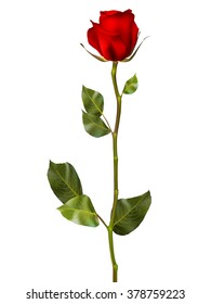 Realistic red vector rose on white background. EPS 10 vector file included